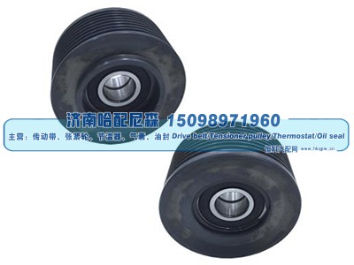 1704645,惰轮,济南哈配尼森汽车配件有限公司