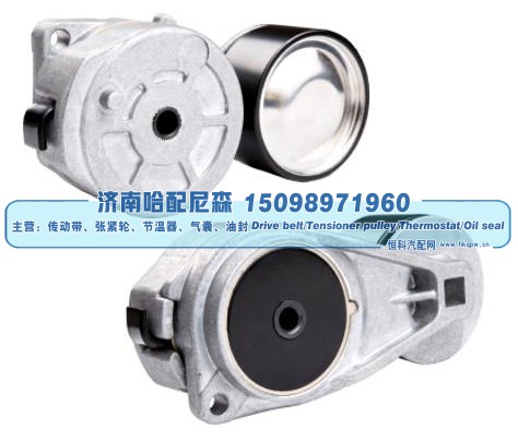 涨紧轮 张紧轮 2C466A228AA