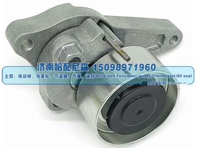 320/08584,涨紧轮 张紧轮,济南哈配尼森汽车配件有限公司