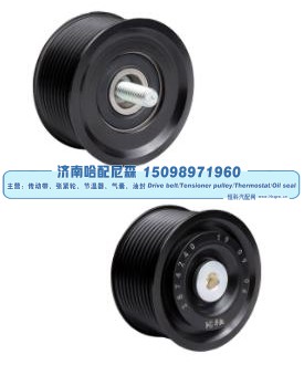 2874240,惰轮,济南哈配尼森汽车配件有限公司