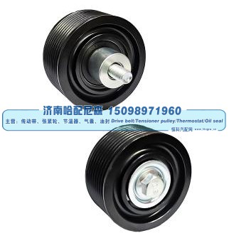 4319417X,惰轮,济南哈配尼森汽车配件有限公司