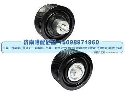 4319417X,惰轮,济南哈配尼森汽车配件有限公司