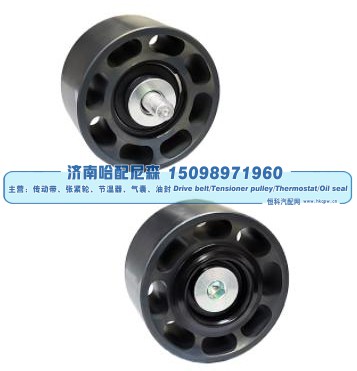 4319418X,惰轮,济南哈配尼森汽车配件有限公司