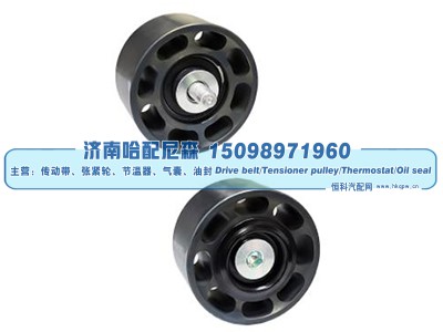 4319418X,惰轮,济南哈配尼森汽车配件有限公司