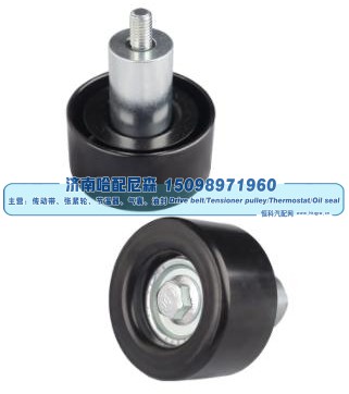 5254598,惰轮,济南哈配尼森汽车配件有限公司