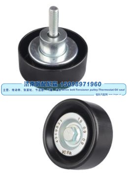 4319831,惰轮,济南哈配尼森汽车配件有限公司