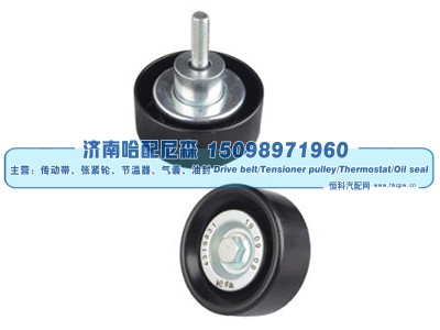 4319831,惰轮,济南哈配尼森汽车配件有限公司