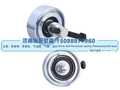 C3973844,惰轮,济南哈配尼森汽车配件有限公司