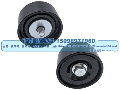 4897031,惰轮,济南哈配尼森汽车配件有限公司