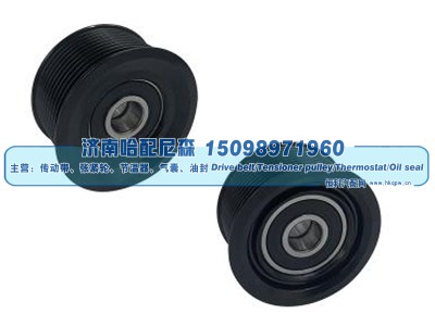 3106238,惰轮,济南哈配尼森汽车配件有限公司