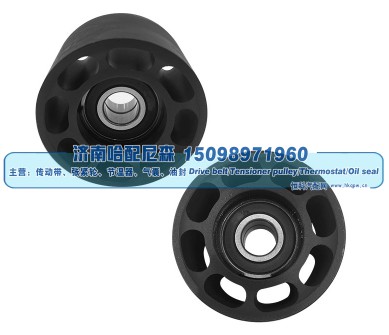 Dayco 89102,惰轮,济南哈配尼森汽车配件有限公司