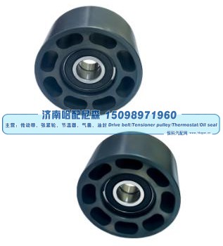 Dayco 89105,惰轮,济南哈配尼森汽车配件有限公司