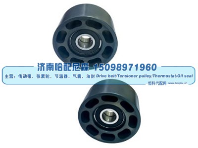 Dayco 89105,惰轮,济南哈配尼森汽车配件有限公司
