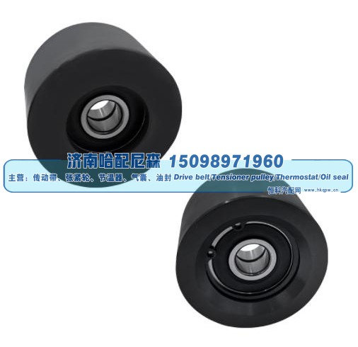 Dayco 89109,惰轮,济南哈配尼森汽车配件有限公司