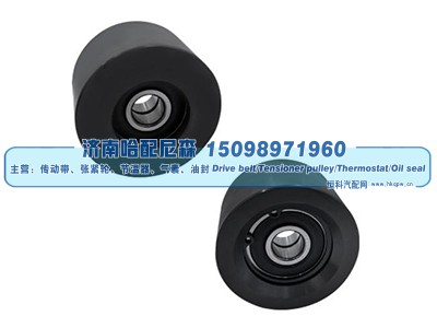 Dayco 89109,惰轮,济南哈配尼森汽车配件有限公司