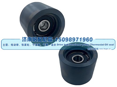 2871292R,惰轮,济南哈配尼森汽车配件有限公司