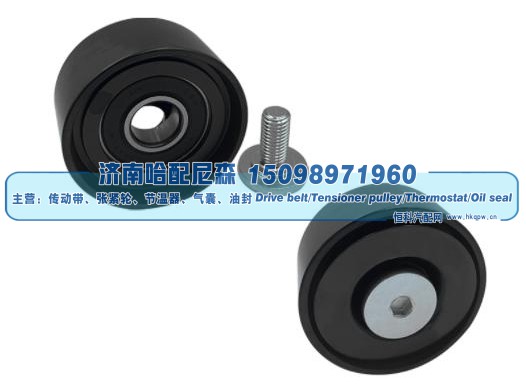 Dayco 89111,惰轮,济南哈配尼森汽车配件有限公司