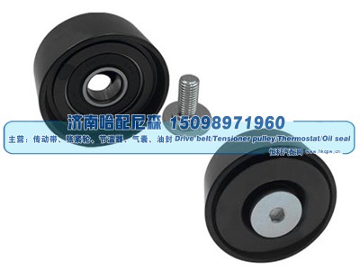 Dayco 89111,惰轮,济南哈配尼森汽车配件有限公司