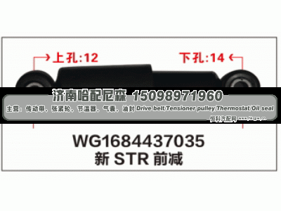 WG1684437035,WG1684437035新STR前减震器,济南哈配尼森汽车配件有限公司