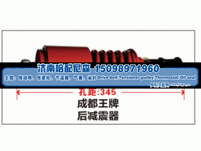 ,成都王牌后减震器,济南哈配尼森汽车配件有限公司