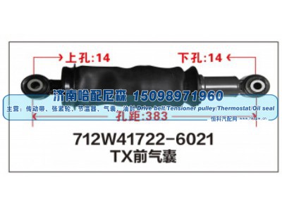 712W41722-6021 TX前气囊图1
