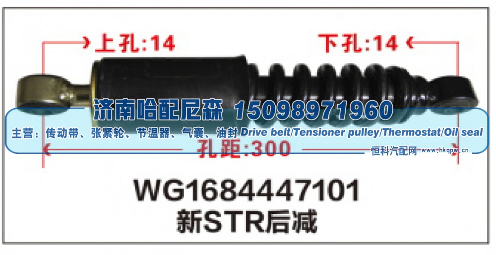 WG1684447101新STR后减震器