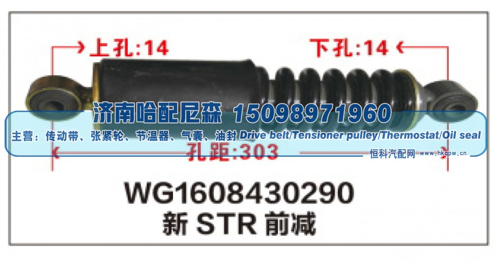 WG1608430290新STR减震器