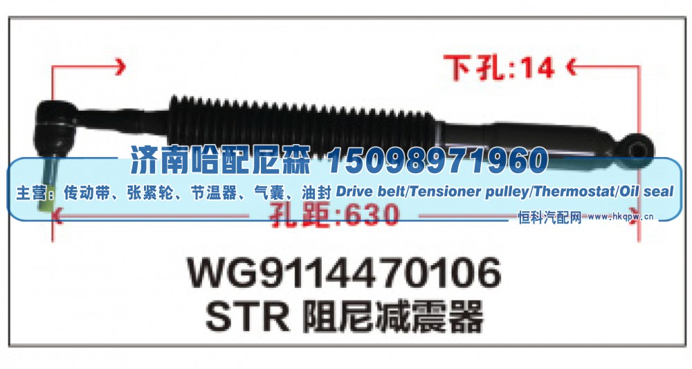 STR阻尼减震器WG9114470106