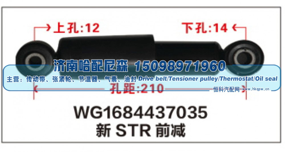 WG1684437035新STR前减震器