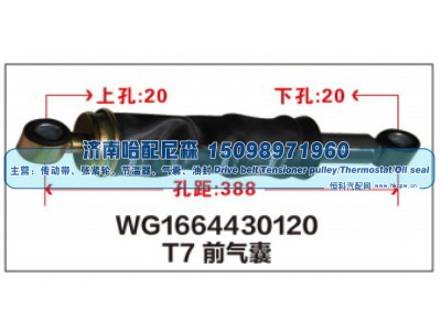 WG1664430120,T7前气囊WG1664430120,济南哈配尼森汽车配件有限公司