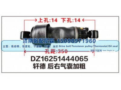 DZ16251444065,DZ16251444065轩德后右气囊加粗,济南哈配尼森汽车配件有限公司