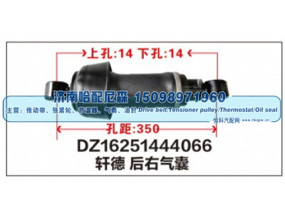 DZ16251444066,DZ16251444066轩德 后右气囊,济南哈配尼森汽车配件有限公司