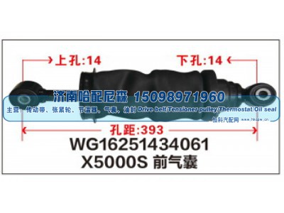 WG16251434061,X5000S前气囊WG16251434061,济南哈配尼森汽车配件有限公司