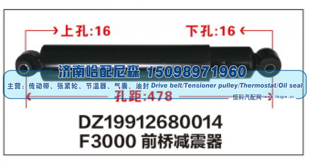 F3000前桥减震器DZ19912680014