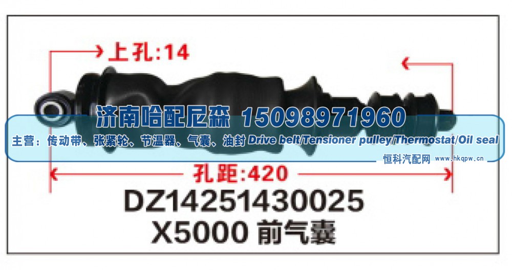 X5000前气囊DZ14251430025