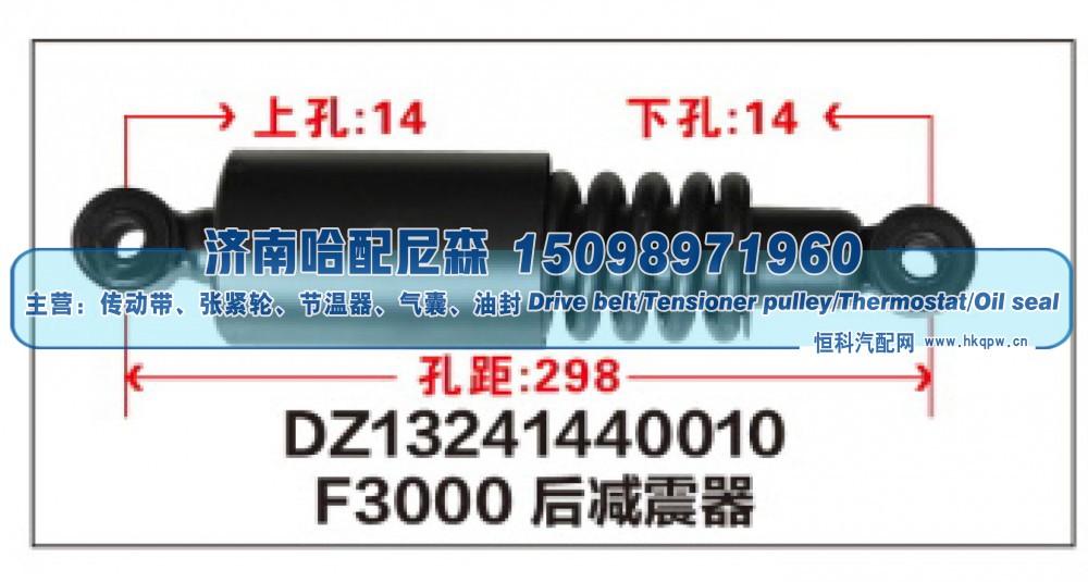 F3000后减震器DZ13241440010