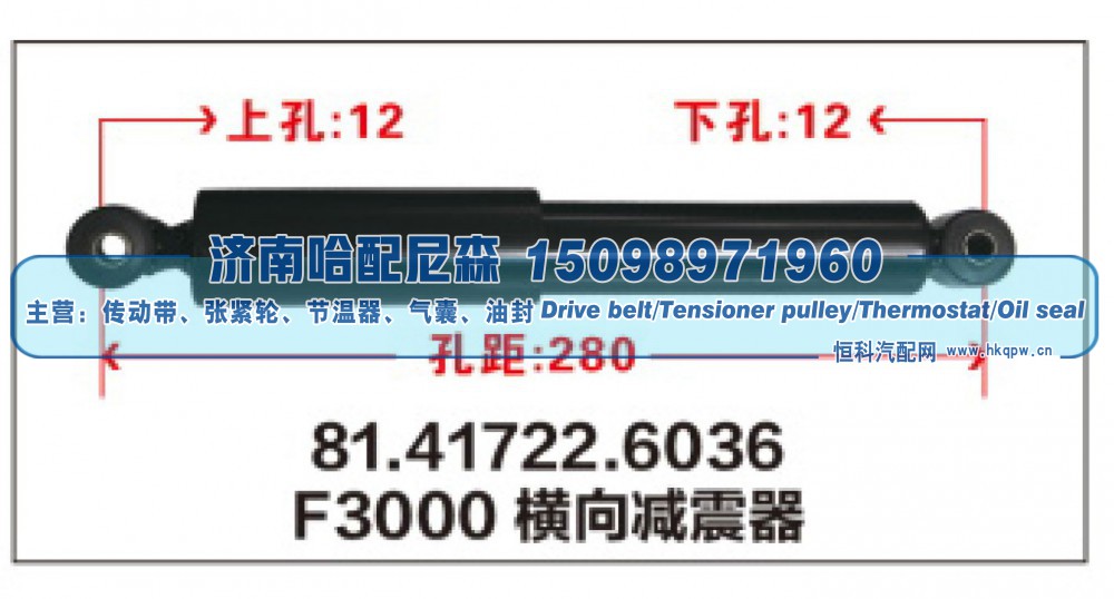 F3000横向减震器81.41722.6036