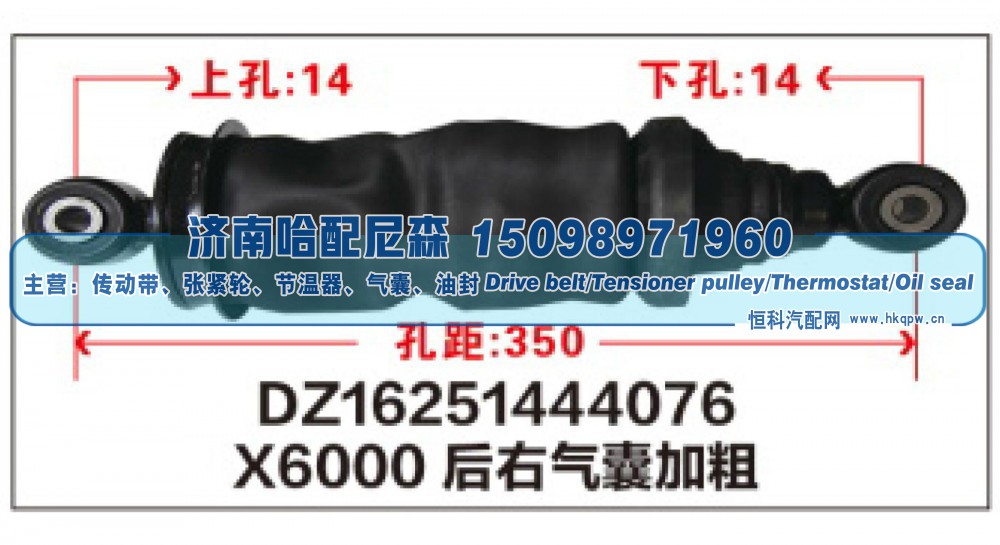 DZ16251444076,X6000后右气囊加粗DZ16251444076,济南哈配尼森汽车配件有限公司