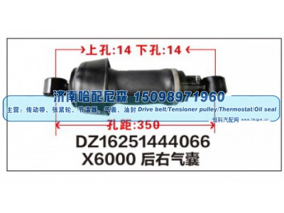 DZ16251444066,X6000后右气囊DZ16251444066,济南哈配尼森汽车配件有限公司