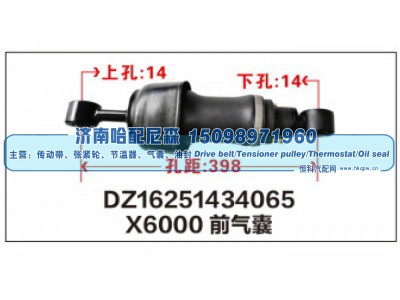 DZ16251434065,X6000前气囊DZ16251434065,济南哈配尼森汽车配件有限公司
