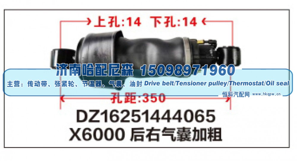 DZ16251444065,X6000后右气囊加粗DZ16251444065,济南哈配尼森汽车配件有限公司