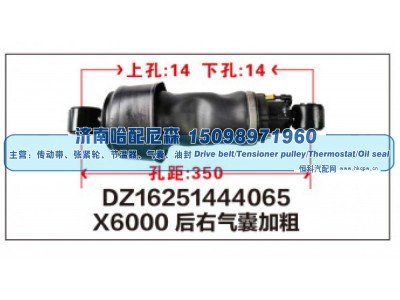 DZ16251444065,X6000后右气囊加粗DZ16251444065,济南哈配尼森汽车配件有限公司