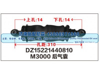 DZ15221440810,M3000后气囊DZ15221440810,济南哈配尼森汽车配件有限公司