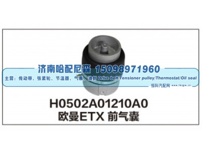 H0502A01210A0,H0502A01210A0欧曼ETX前气囊,济南哈配尼森汽车配件有限公司