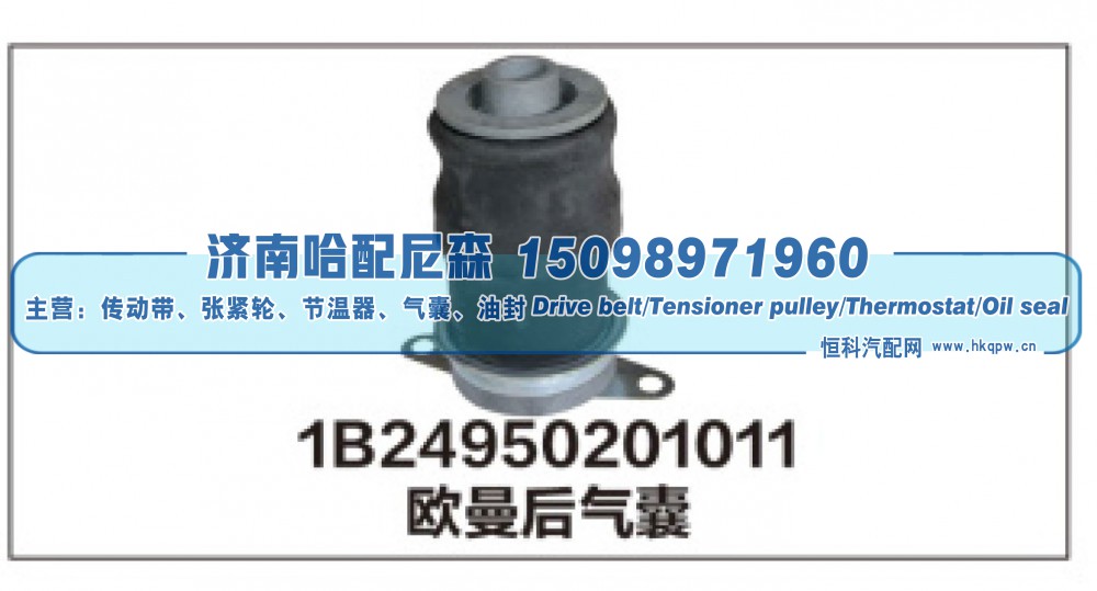 1B24950201011,1B24950201011欧曼后气囊,济南哈配尼森汽车配件有限公司