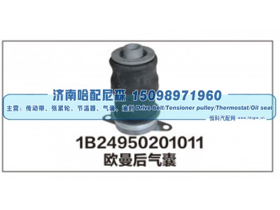 1B24950201011,1B24950201011欧曼后气囊,济南哈配尼森汽车配件有限公司