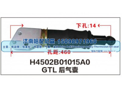 H4502B01015A0,GTL后气囊,济南哈配尼森汽车配件有限公司