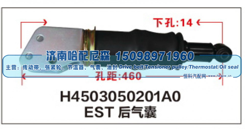 EST后气囊H4503050201A0