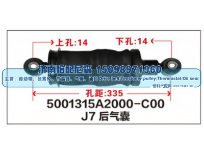 5001315A2000-C00,J7后气囊,济南哈配尼森汽车配件有限公司