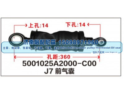 5001025A2000-C00,J7前气囊,济南哈配尼森汽车配件有限公司
